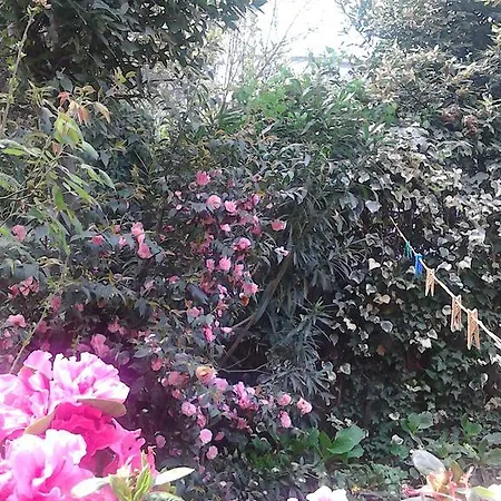 Bed & Breakfast La Villetta