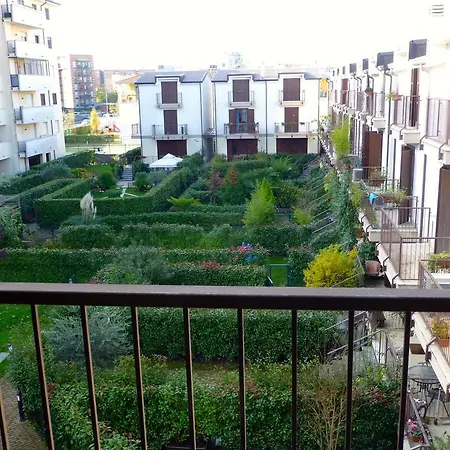 Rutilia22 * Milan