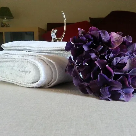Nice - Apartamento