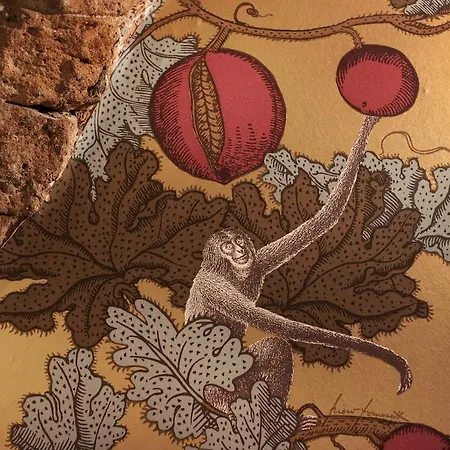Maison d'hôtes Ca' Monteggia 2*