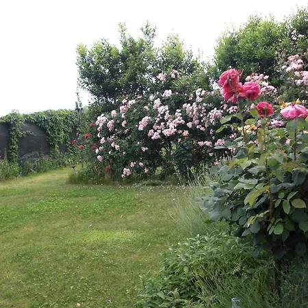 Bed & Breakfast La Corte Del Ronchetto
