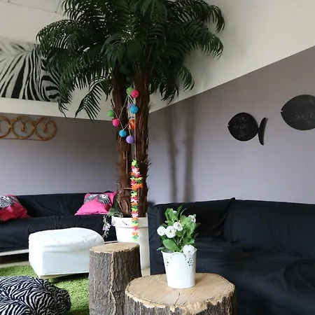 Auberge de jeunesse Panda