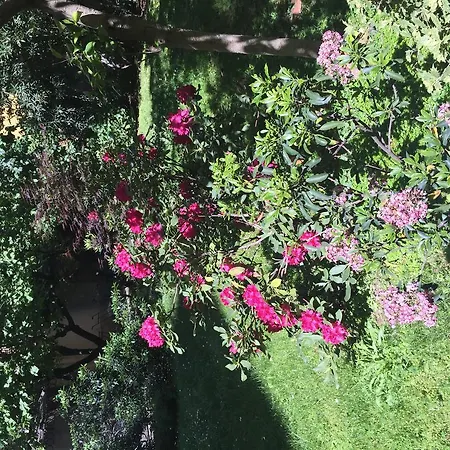 게스트하우스 Loreto Elite 밀라노