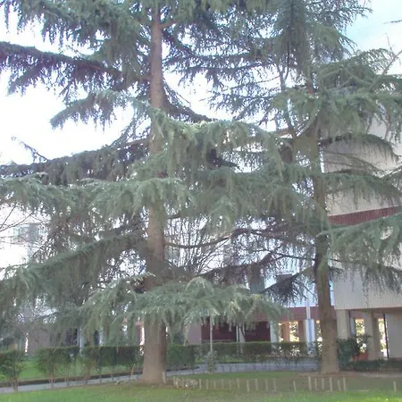 Cieloro Guest house