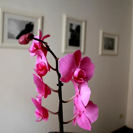 Mihouse Appartement Milan