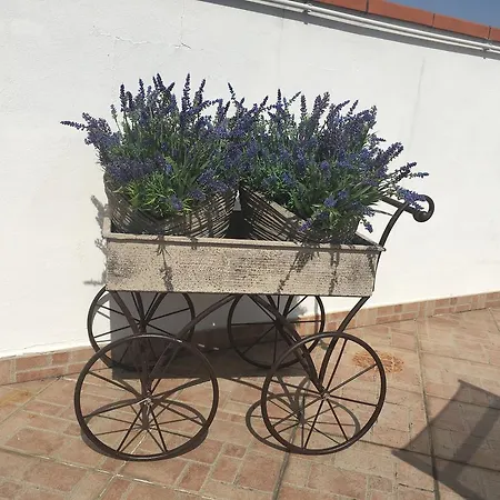 La Terrazza Maison d'hôtes 3*