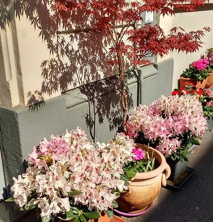 Reguzzoni Guest house