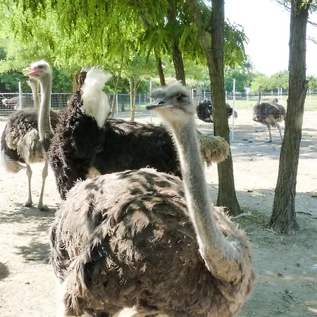 Dolce Luna Farm stay Milan