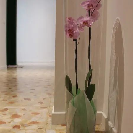 Casa 3*