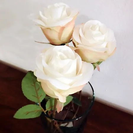 לינה וארוחת בוקר Argentina מילאנו