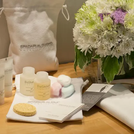 斯帕达里大教堂酒店 米兰