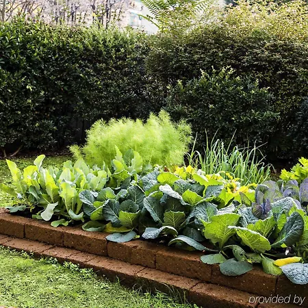 Ibis Ca' Granda Hotel