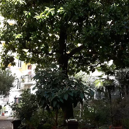 Nocleg ze śniadaniem Bronzino House 3*