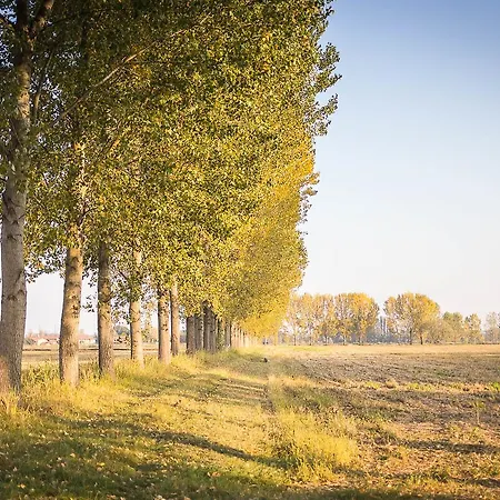 卡希纳加吉利旅馆 *