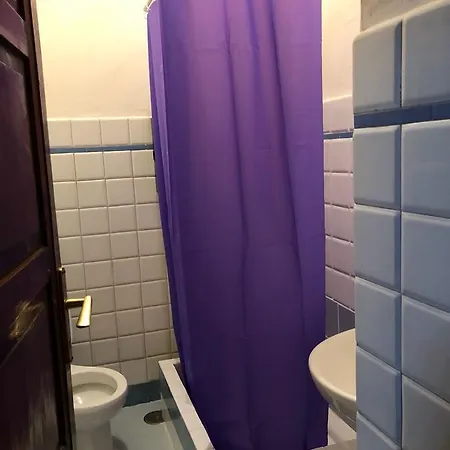 Center Guest house