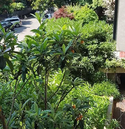 Reggio Apartment Milan