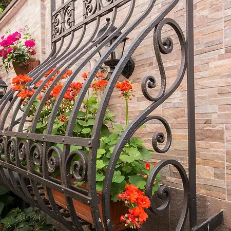 호텔 비토리아 4*