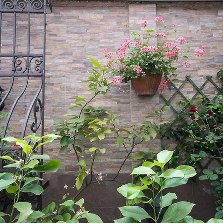 호텔 비토리아 4*