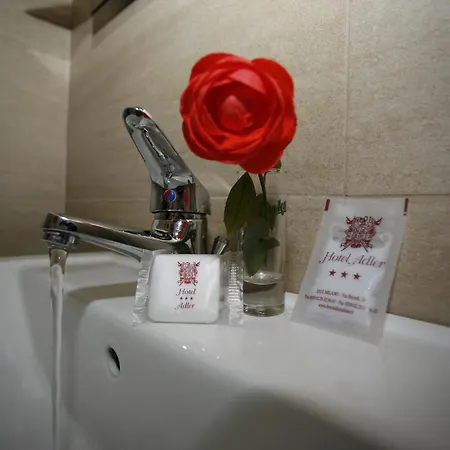 Hotel Adler 3*