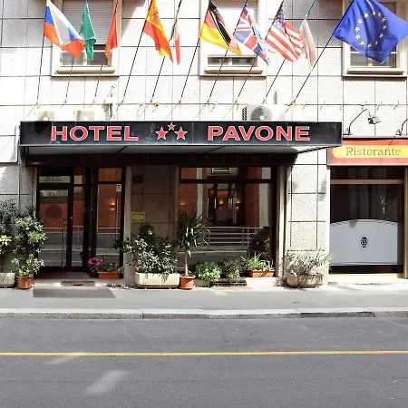 Pavone Milano