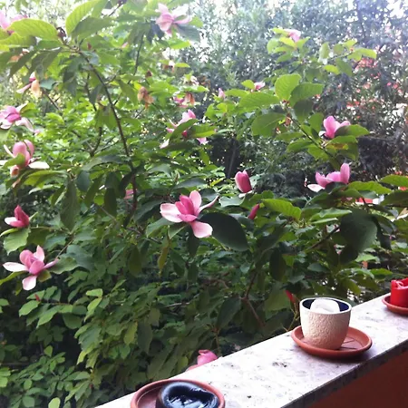 Apartment Cocco House Milan