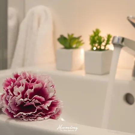 Oki Doki Appartement *