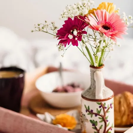 酒店 佩鲁吉诺酒店 米兰