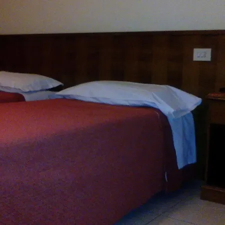 Hotel Minerva 3*