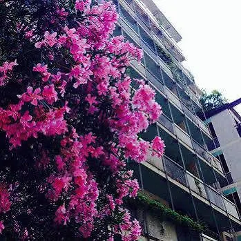 Bed & Breakfast Mundi Milan