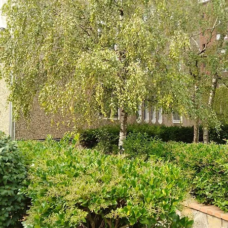 Apartmán Kibilu - Via Borsa