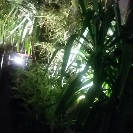 בית הארחה Citygardenmilano מילאנו