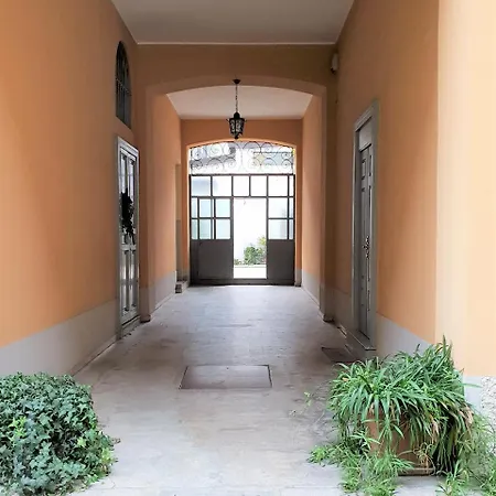 Navigli 7
