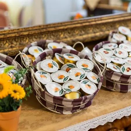 Alga Hotel