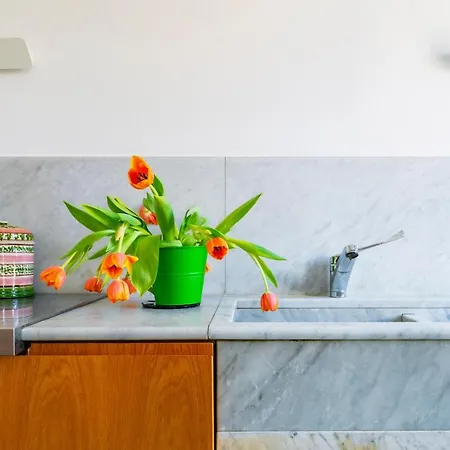 Ticinese Apartment *