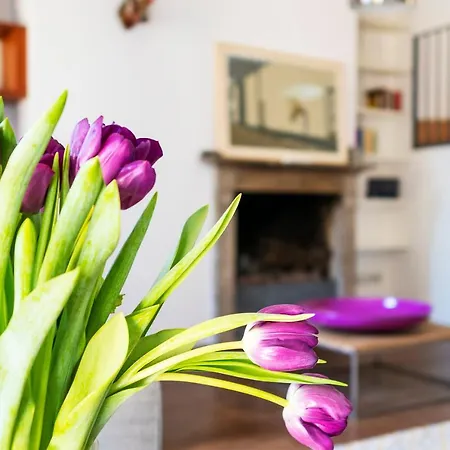 Apartment Ticinese *