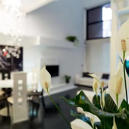 Luxury Loft - Station Apartment Milan