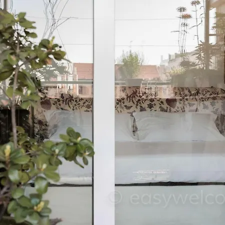 Easy Welcome Euphorbia Terrace *
