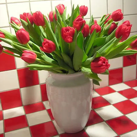 Borgonuovo Uno Appartamento