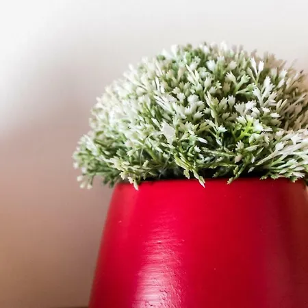 Italianway Easy - Bligny 19a Glicine Cervinia Apartment *