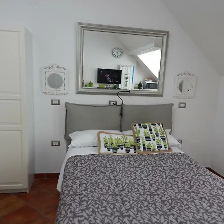 بيت ضيافة 44suite Srl