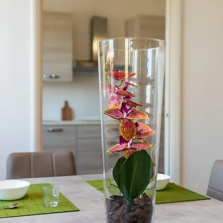 Vittoria 4 Apartment