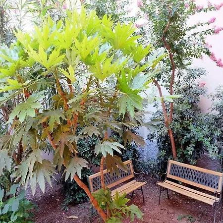 Bed & Breakfast I 10 Mondi 2*