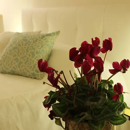 Repubblica One Milan