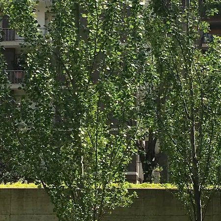 Apartment Loft Giulietta