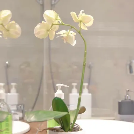 Apartamento Design Porta Venezia