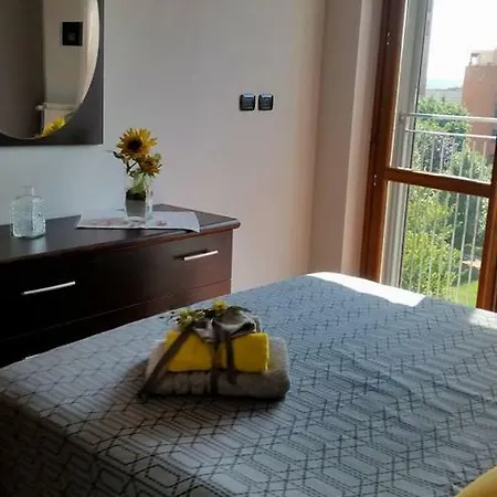 Sunflower House Ieo Ripamonti *