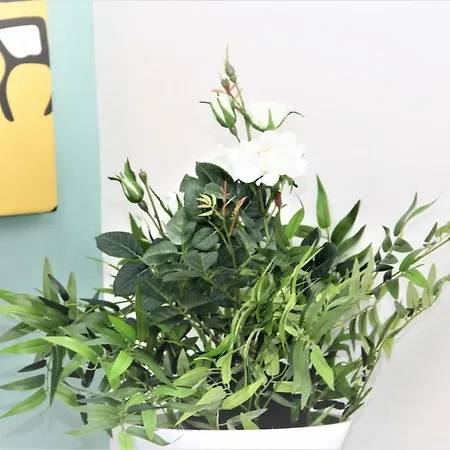 Downtown Eco Chic Appartamento