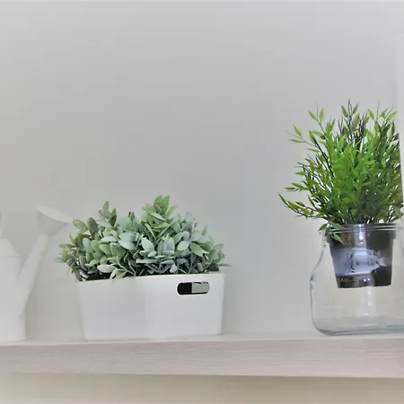 Downtown Eco Chic Appartamento