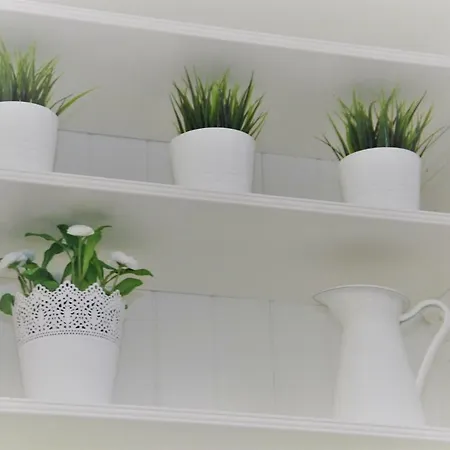 Downtown Eco Chic