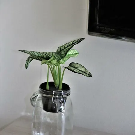 Apartment Downtown Eco Chic *